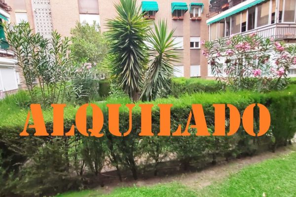 Calle Canoa ALQUILADO
